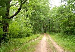 Vacant Land Listings
